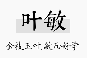 叶敏名字的寓意及含义