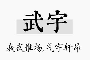 武宇名字的寓意及含义