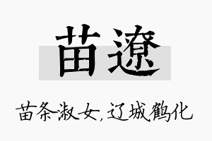 苗辽名字的寓意及含义