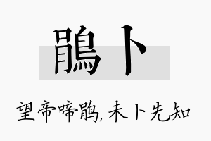 鹃卜名字的寓意及含义