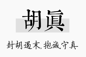 胡真名字的寓意及含义