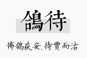 鸽待名字的寓意及含义