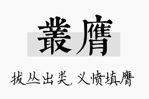 丛膺名字的寓意及含义