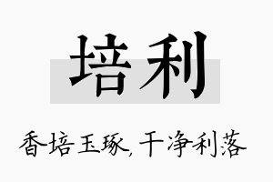 培利名字的寓意及含义