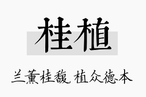 桂植名字的寓意及含义