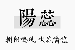 阳蕊名字的寓意及含义