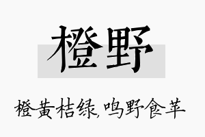 橙野名字的寓意及含义