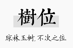 树位名字的寓意及含义