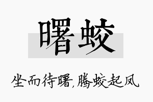 曙蛟名字的寓意及含义