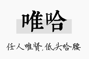 唯哈名字的寓意及含义