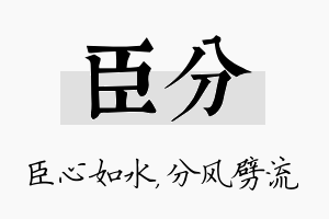 臣分名字的寓意及含义