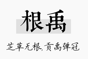 根禹名字的寓意及含义