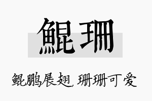 鲲珊名字的寓意及含义