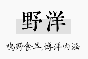 野洋名字的寓意及含义