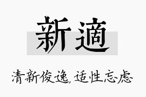 新适名字的寓意及含义