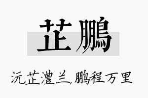 芷鹏名字的寓意及含义