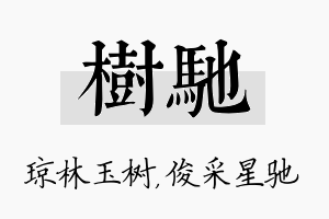 树驰名字的寓意及含义