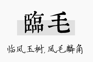 临毛名字的寓意及含义