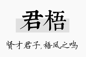 君梧名字的寓意及含义