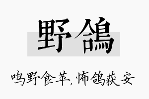 野鸽名字的寓意及含义