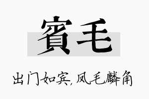 宾毛名字的寓意及含义