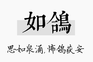 如鸽名字的寓意及含义