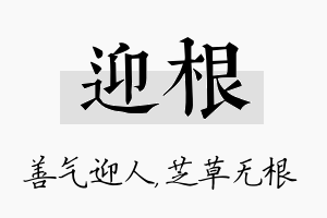 迎根名字的寓意及含义