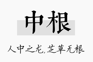 中根名字的寓意及含义