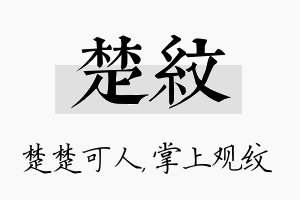 楚纹名字的寓意及含义