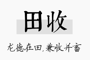 田收名字的寓意及含义