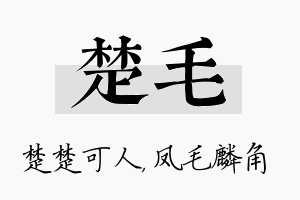 楚毛名字的寓意及含义