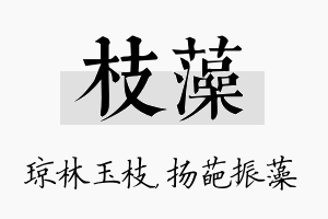 枝藻名字的寓意及含义