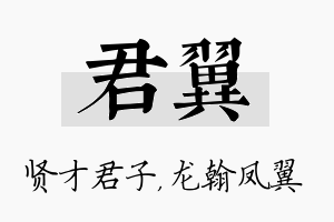 君翼名字的寓意及含义