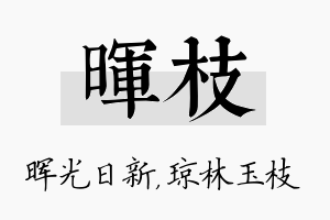 晖枝名字的寓意及含义