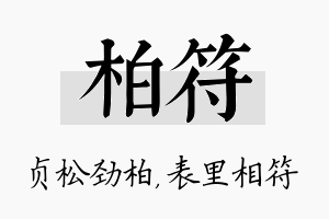 柏符名字的寓意及含义