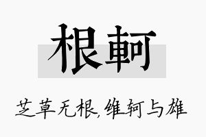 根轲名字的寓意及含义