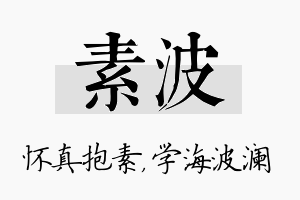 素波名字的寓意及含义