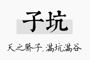 子坑名字的寓意及含义