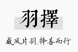 羽择名字的寓意及含义