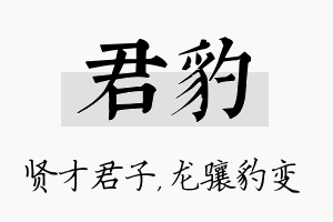 君豹名字的寓意及含义