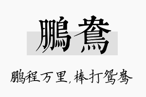 鹏鸯名字的寓意及含义