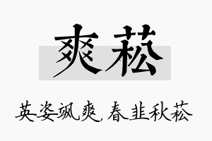 爽菘名字的寓意及含义