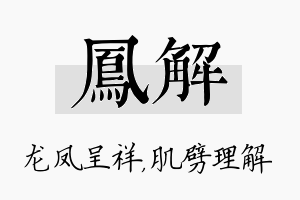 凤解名字的寓意及含义