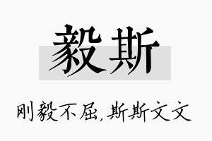 毅斯名字的寓意及含义