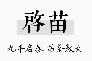 启苗名字的寓意及含义