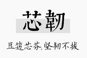 芯韧名字的寓意及含义