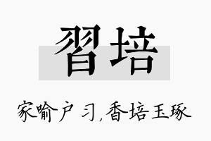 习培名字的寓意及含义