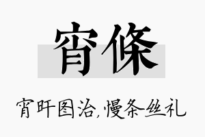 宵条名字的寓意及含义