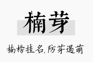 楠芽名字的寓意及含义