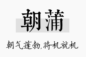 朝蒲名字的寓意及含义